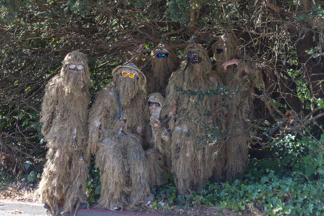Bay To Breakers 2013: camoflage