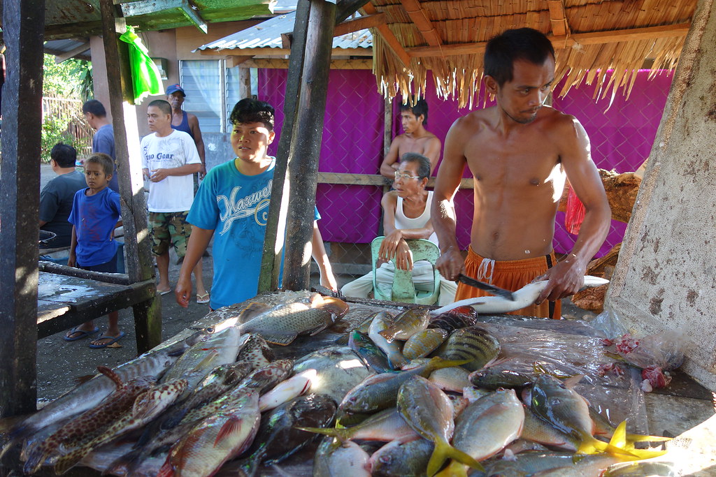 Fish Market in Tacloban City, the Philippines. | @FAO/Petri … | FAO of the  UN | Flickr