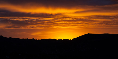 newzealand sky orange clouds sunrise landscape golden silhouettes paisaje paisagem céu dourado amanecer cielo nubes nuvens naranja siluetas 2012 dorado novazelândia nascerdosol nuevazelanda silhuetas cordelaranja