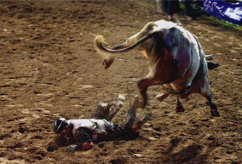 Bullrider Down II | Bull riding action at Buckin' Ohio, Burb… | Dale ...