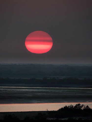 pakistan sunset river asia delta mangrove asie indus fleuve