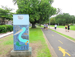 Traffic signal box art along Cairns Esplanade - 1