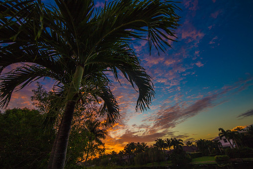 trees sky nature sunrise landscape unitedstates florida dusk scenic palmtree southflorida coralsprings 6d tiltshift eos6d tse17f4l