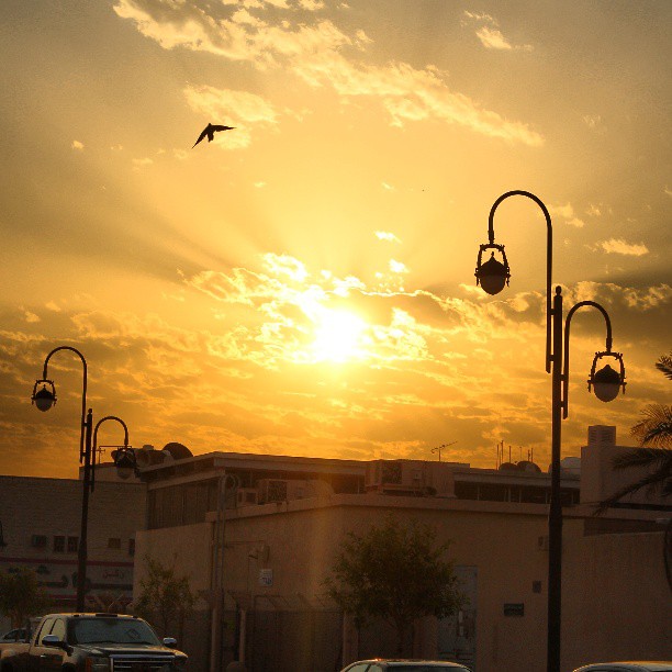 من تصويري تصويري عدستي من عدستي شروق الشمس صور فوت Flickr