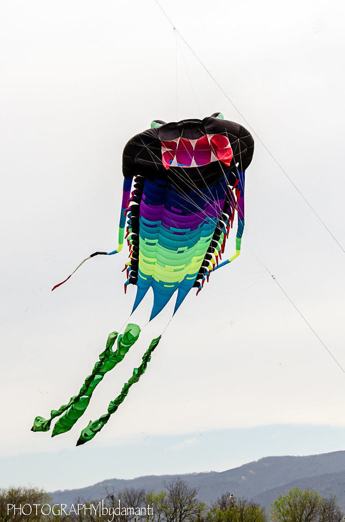 MONSTER KITE Kite Festival Salem, VA ©All Rights Reserved … Flickr