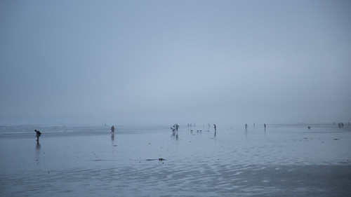 california shells dogs fog clouds canon bay tide brendan moro 6d cleak