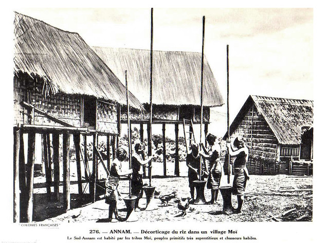 Collection COLONIES FRANCAISES années 1930 - ANNAM. Décorticage du riz dans un village Moi - Giã gạo tại một làng người Thượng