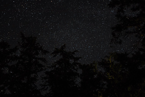 bayviewstatepark stars astrophotography longexposure nightphotography nightsky sky 50mm blackbackground outdoor