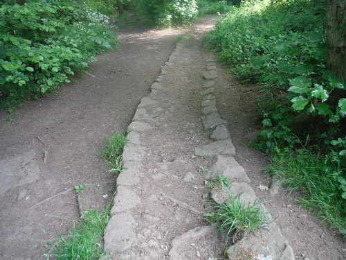 'Stone Rails' sunken trackway, Ecclesall Woods SWC Walk 267 - Sheffield Circular (via Porter, Limb, Sheaf and Gleadless Valleys) 