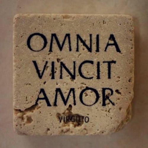 #latin #omnia #vincit #amor #love #people #ciao #school #rome #funny #followme #tags4likes #tagsforlike #picoftheday #photooftheday #instaday #instahub #instagood #instalike #instalove #instamood #stategram #statigram #art #elitegram #nicegram #canon #can | by insta2641