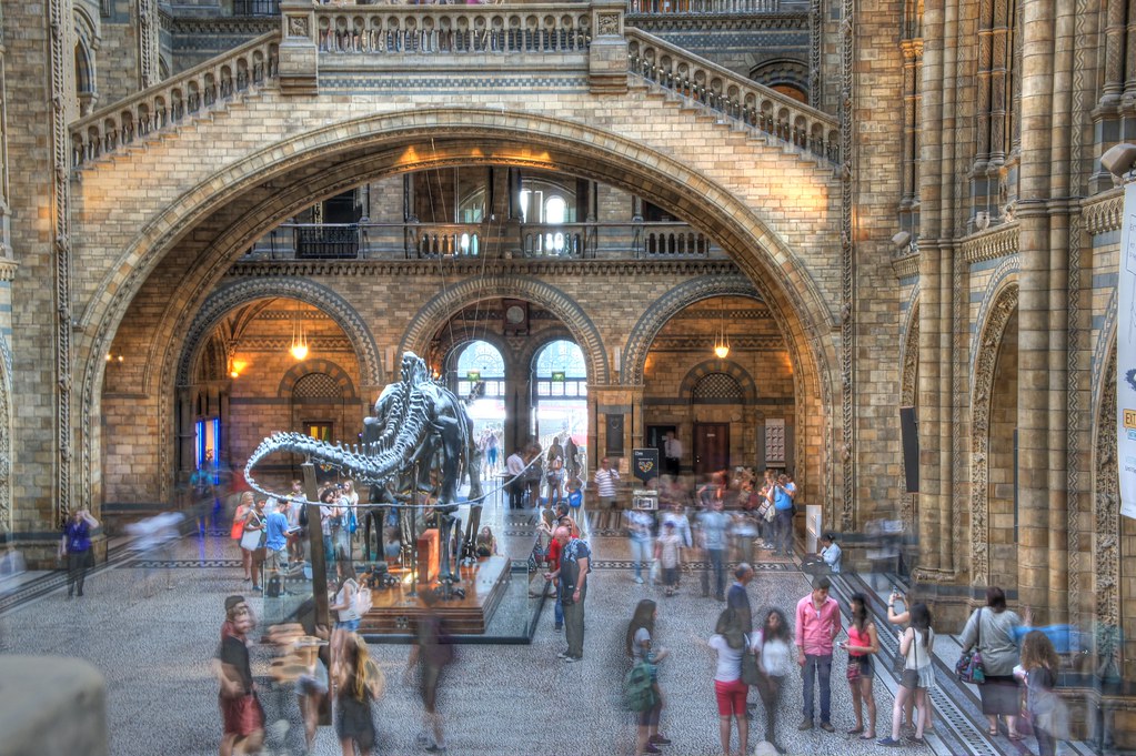 Natural History Museum | HDR effect of inside the awesome Na… | Flickr