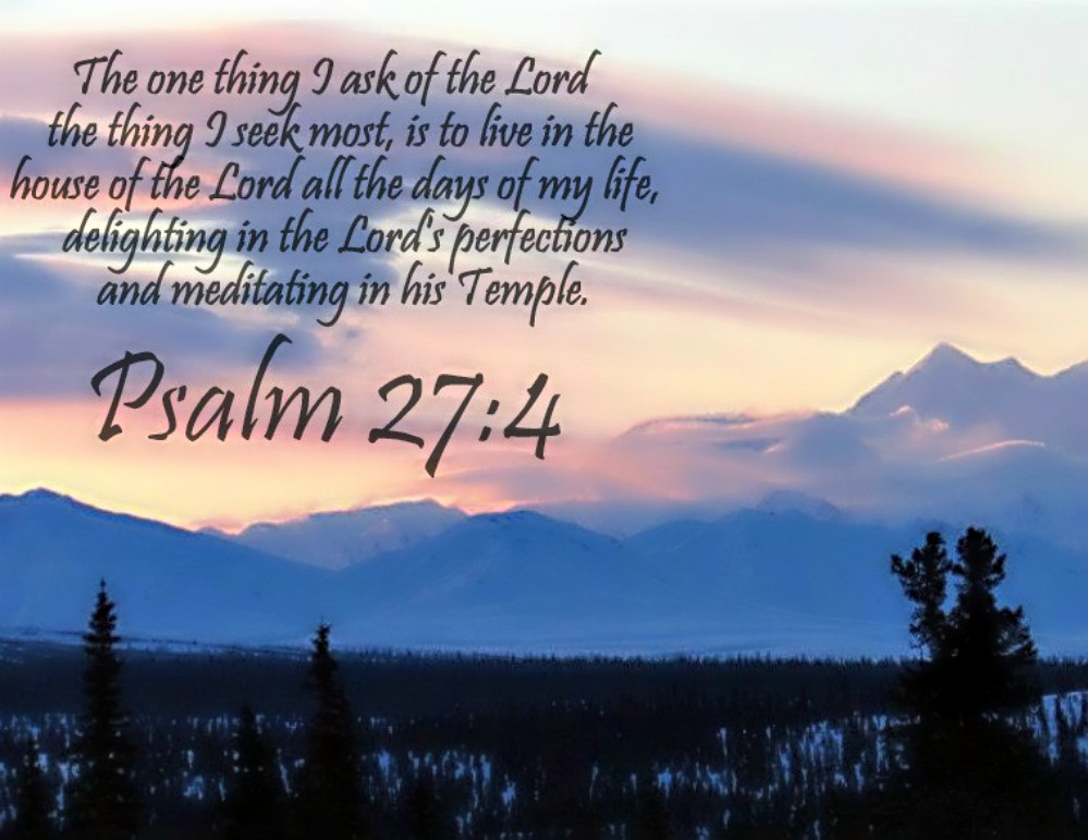 Psalm 27:4 nlt.