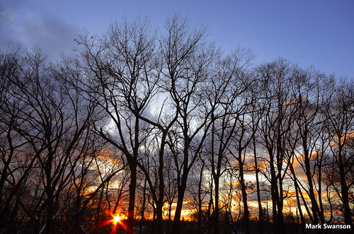 trees winter sunset sky color nature clouds evening nikon michigan wide scenic sigma 1020mm d5100
