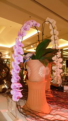 5th Siam Paragon Bangkok Royal Orchid Paradise