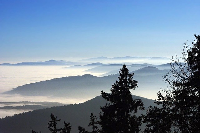 Brouillard dans les Vosges