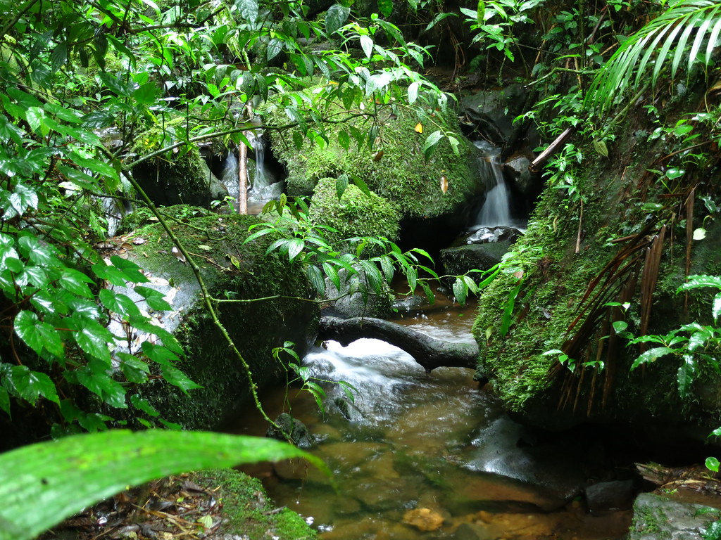 Costa Rica, 2013