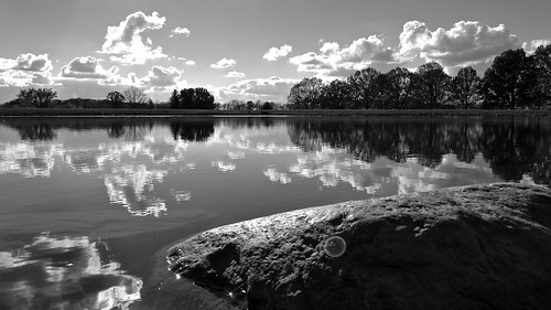 trees ohio sky bw white lake black reflection nature water monochrome rock clouds landscape arboretum newark across dawes monovember