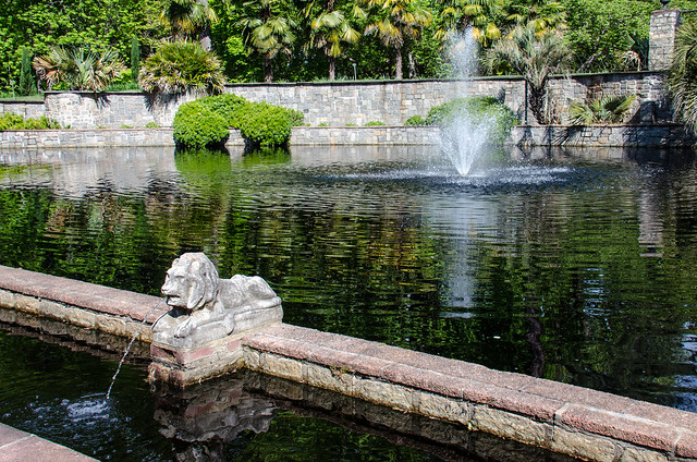 Norfolk Botanical Garden pond