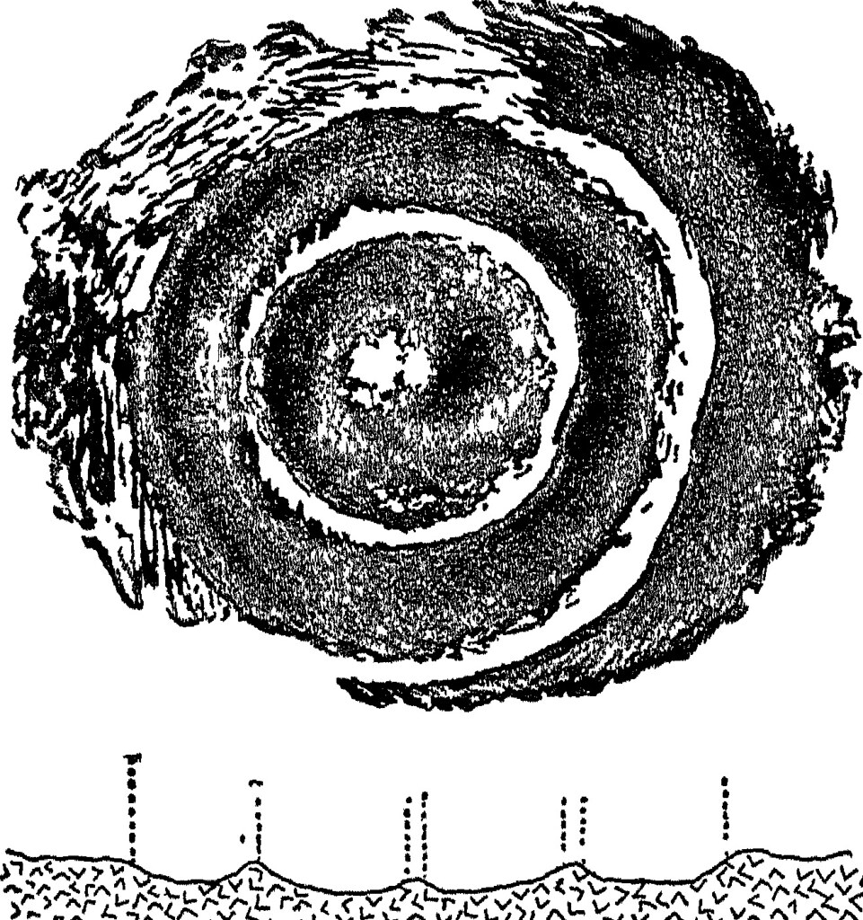 Ring Structure On Rocks Image from page 274 of