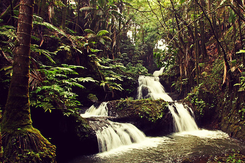 Waterfall- | Allison Giguere | Flickr