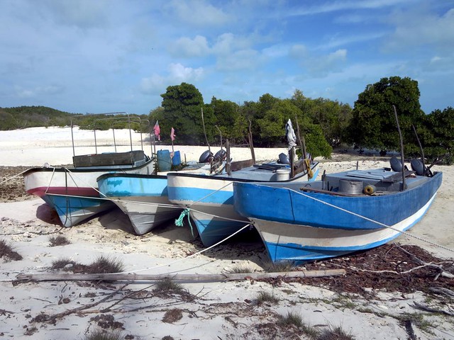 Poacher Boats