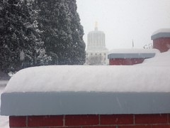 Willamette University Snow