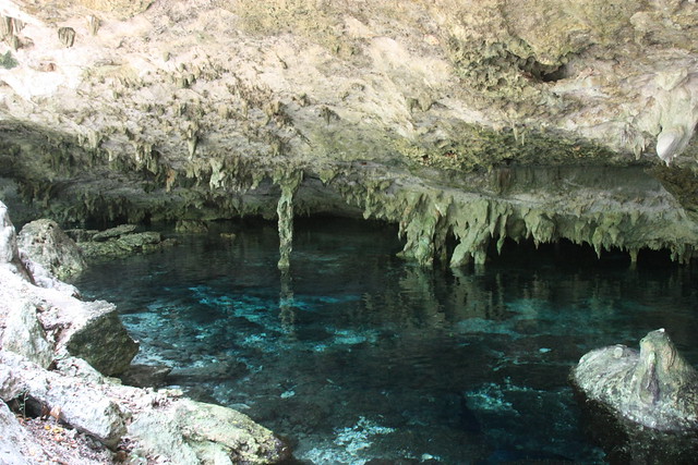 582 - Cenote Dos Ojos