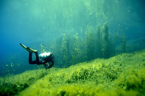 uw landscape underwater tech sony lakes scuba diving greece springs ioannina louros uwphotography vouliasta a55v