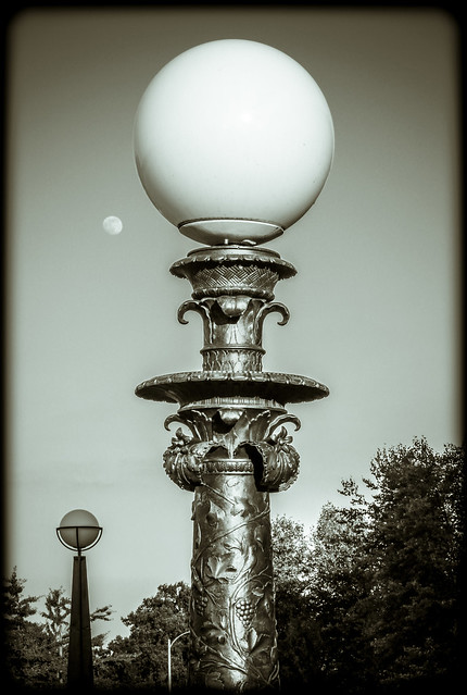 Forest Park Lamps