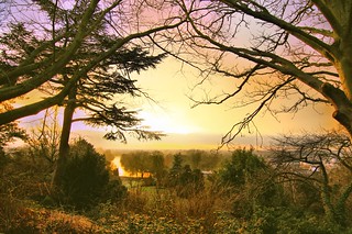 View of the River Thames from Richmond Hill