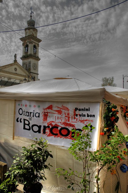 Canale Fiorito 2013 a Battaglia Terme (PD