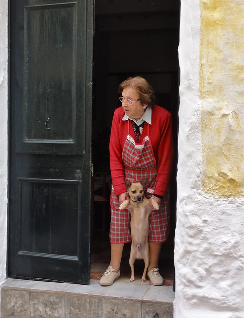 The dog and the dame