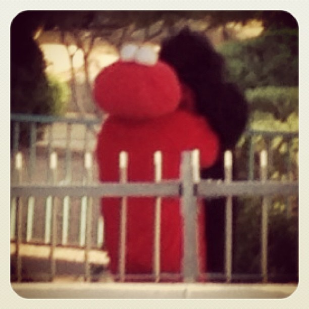 Random Las Vegas: Elmo primps King Kong.