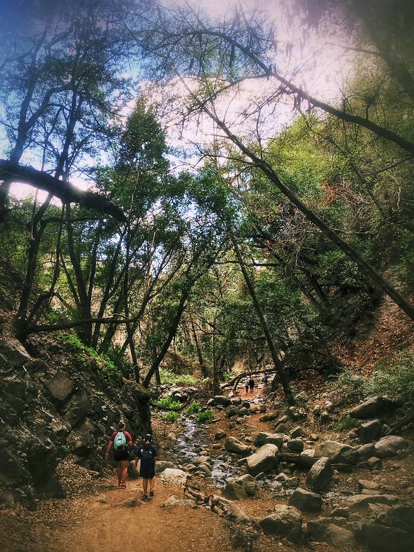 A hike in LA