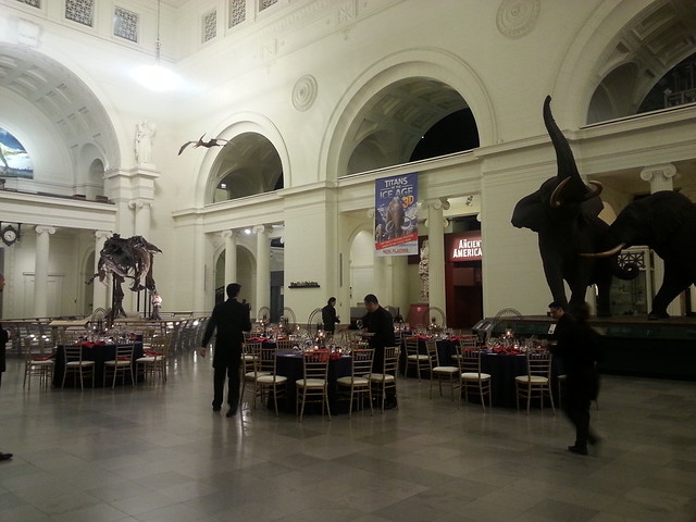 Strolling Receptions | Stanley Field Hall | Flickr
