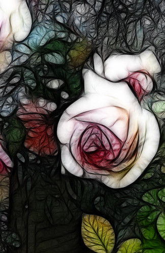 les roses du jardin 2 | by coco de carry