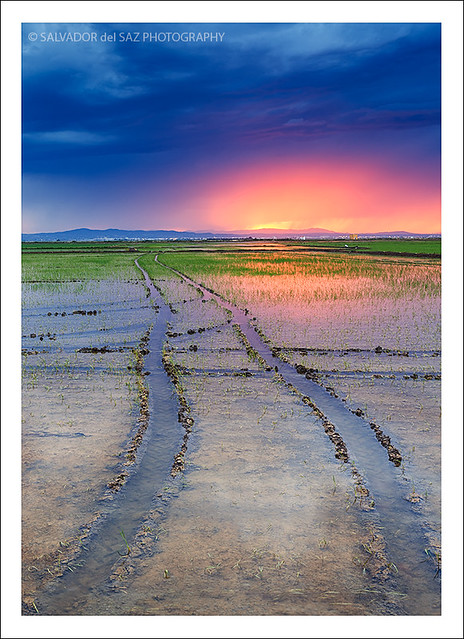 Flooding the rice fields XXII (glow and tracks)