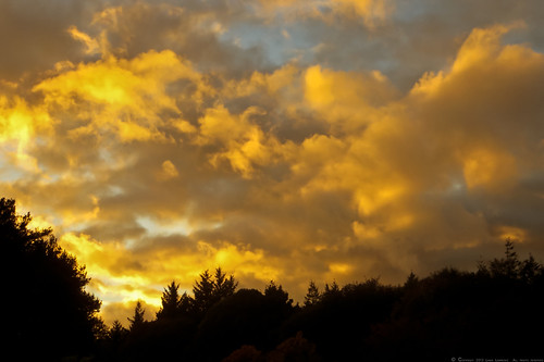 autumn light sunset sky orange tree nature oneaday weather silhouette yellow clouds fire scotland aberdeenshire 365 stormysky northeastcoast day296 lindal mintlaw project365 2013 adenpark 365project day296365 october2013 3652013 2013yip canonpowershotsx260hs 365the2013edition 23102013 23rdoct13