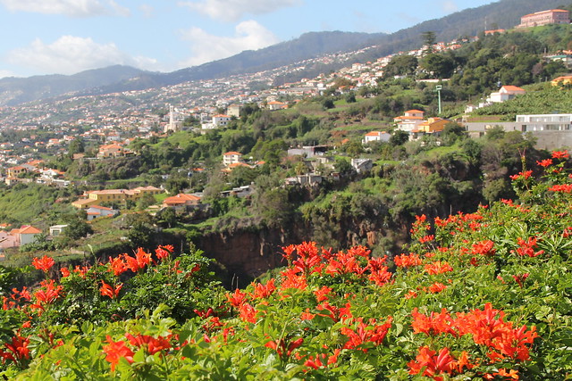 Madeira Botanical Garden IV