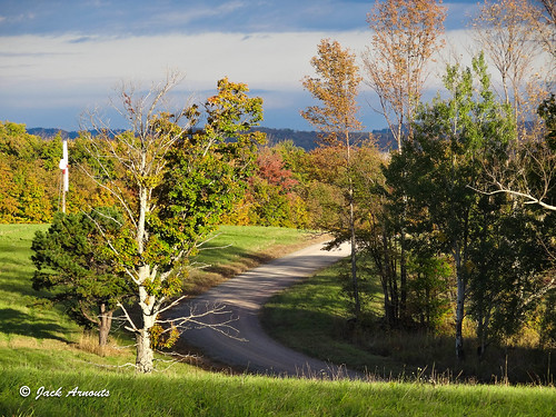 fall landscape leaves pa road trees country lakewood pennsylvania unitedstates