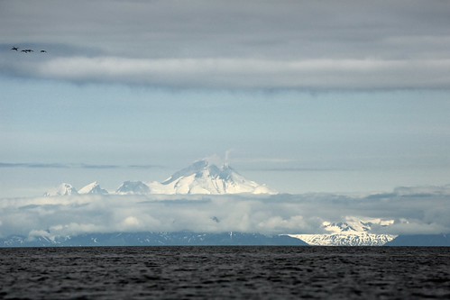 Alaskan Range Textures Spectacular Land/Sea Scape Kachemak Bay Cook Inlet Kenai Peninsula Alaska North America by In Memoriam Ngaire Hart, travel sunset summer snow seascape mountains seaweed nature beauty alaska fauna forest garden season