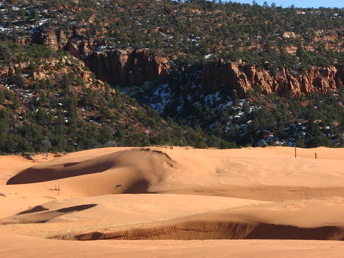 Sand Dunes 049 | by Chandler West