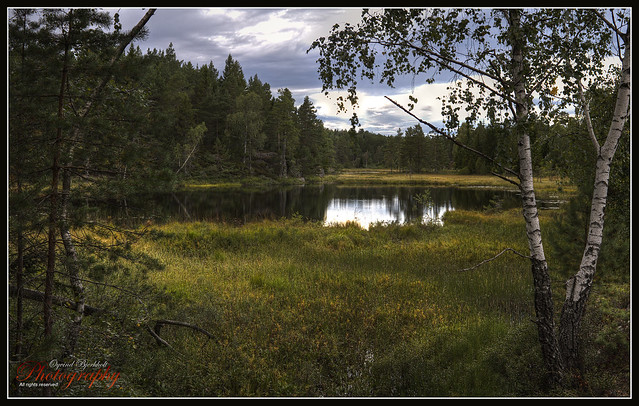 Norwegian nature in september