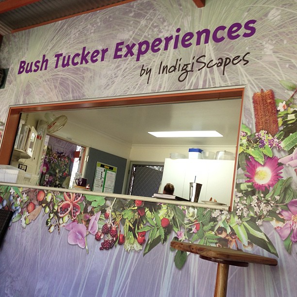 Bush Tucker Experiences at #indigiscapes