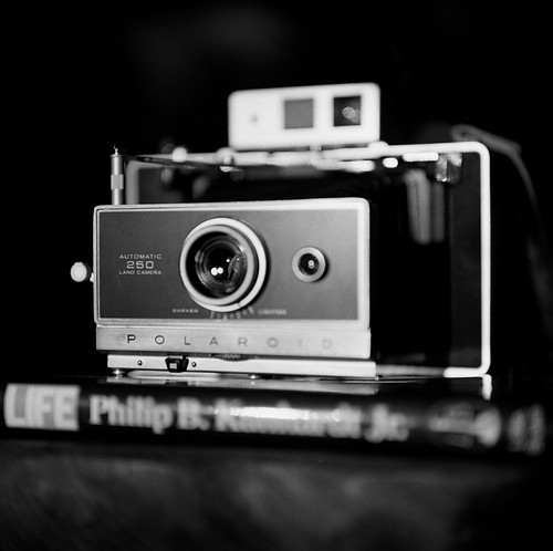 250 Life | by Luffup*