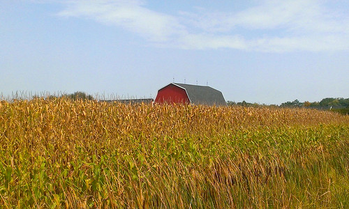 field barn rural corn michigan farm country farming crop ag agriculture raytownship