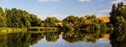 summer reflection nature landscape mirror pond czechrepublic benešov