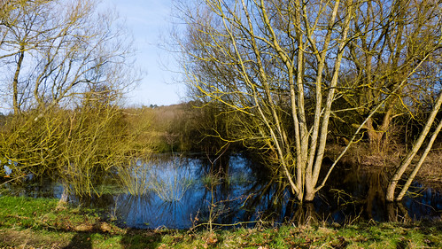 Turner's Field pond