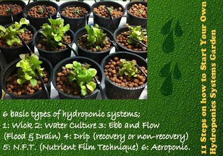 11 Steps On How To Setup DIY Hydroponics Systems At Home
