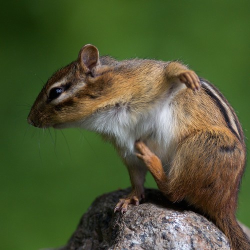 When you have an itch... | by berelaxed